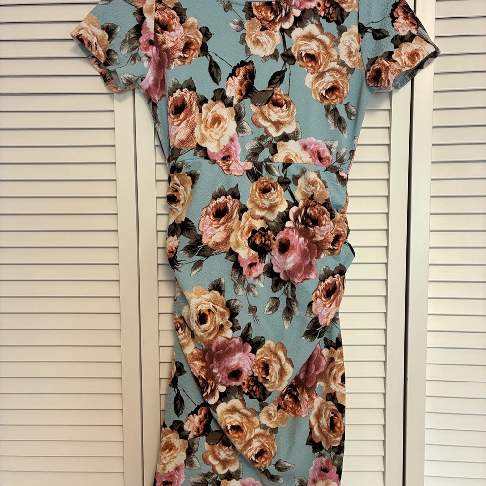 Pinkblush Blue Floral maternity Dress